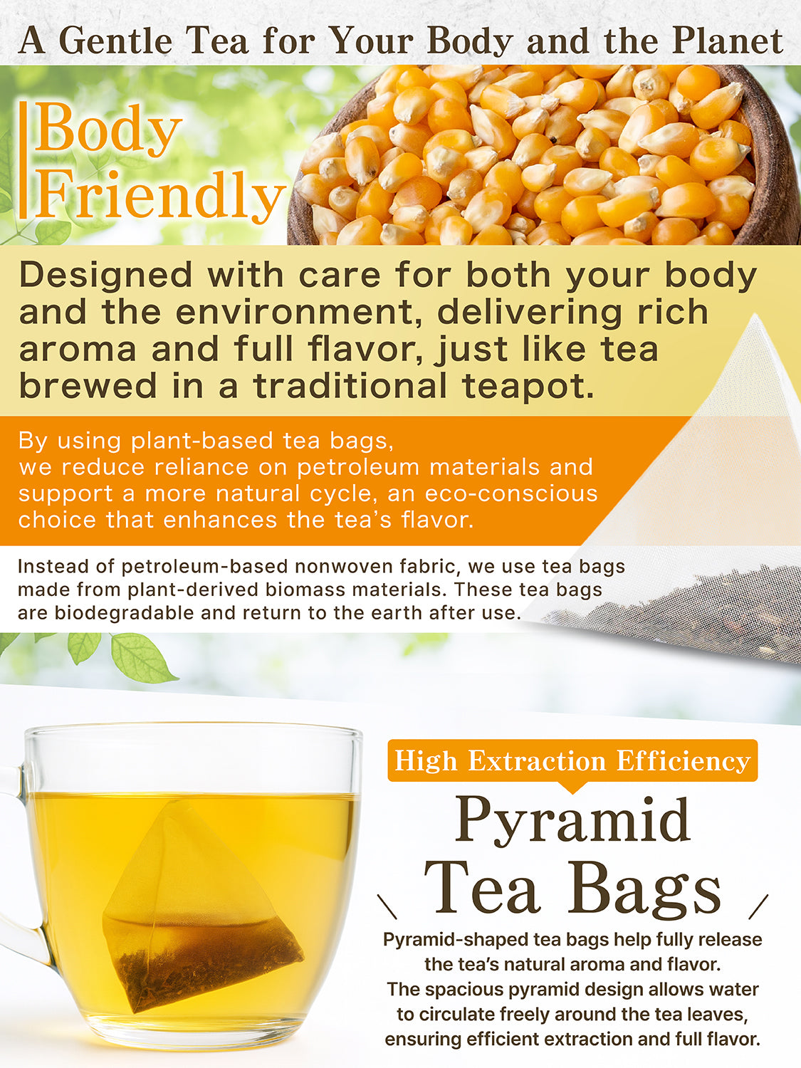 [HELLO and] Hokkaido Corn Tea: 100% Roasted Japanese Corn (Caffeine-Free, 30 Bags / 5g per bag)
