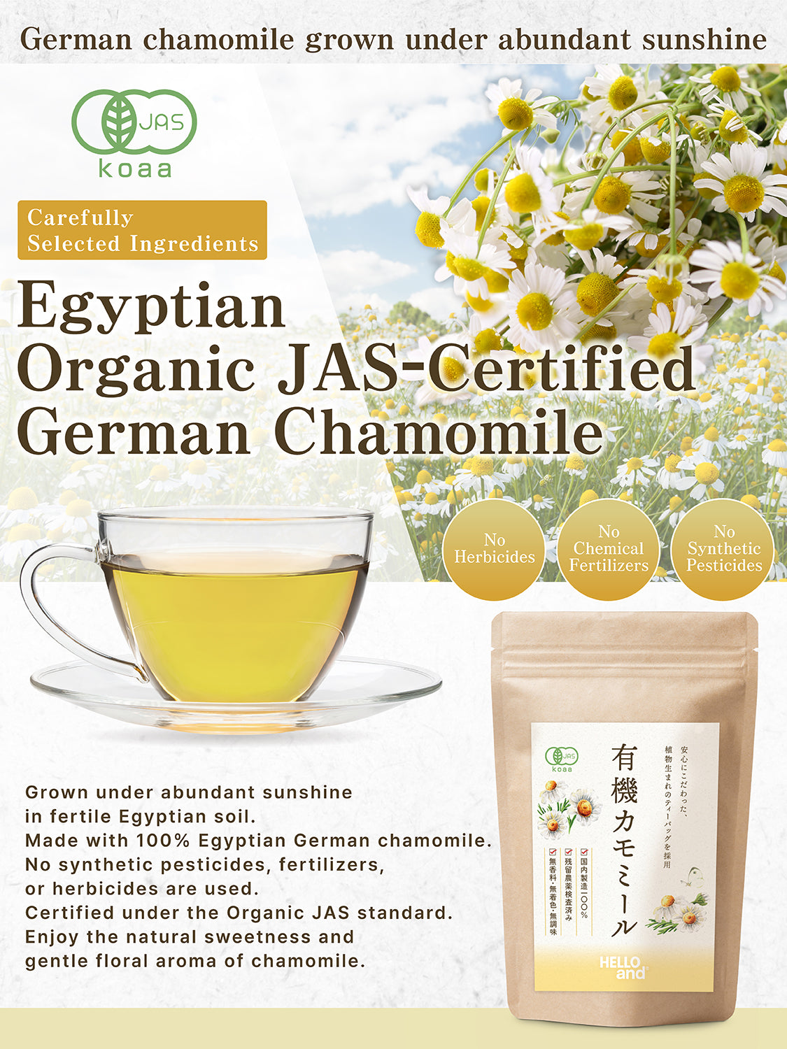 [HELLO and] Organic Chamomile Tea: 100% Egyptian German Chamomile (JAS Certified, Caffeine-Free, 30 Bags)