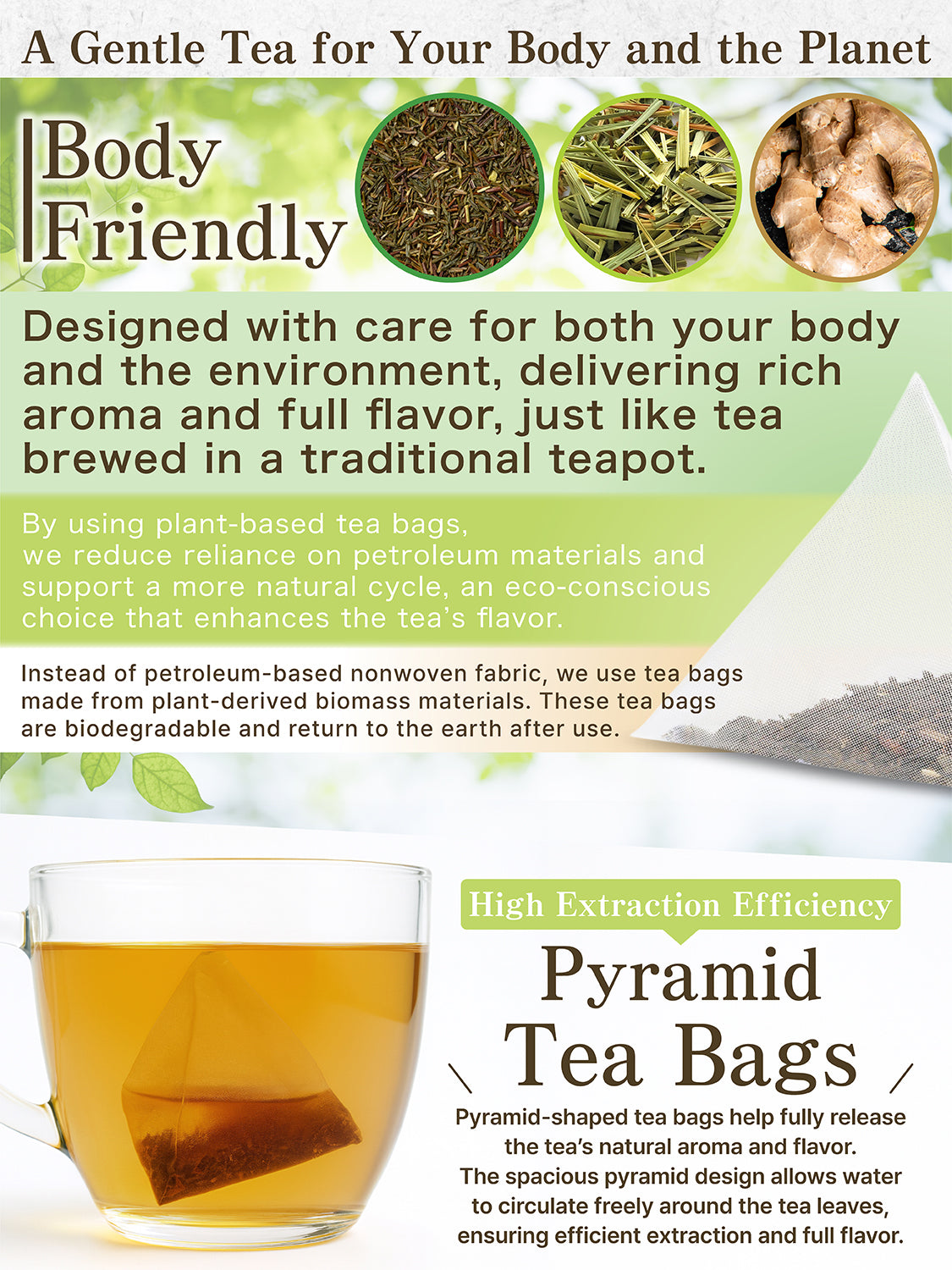 [HELLO and] Ginger Blend: Japanese Ginger, Lemongrass & Green Rooibos (Caffeine-Free, 30 Bags)
