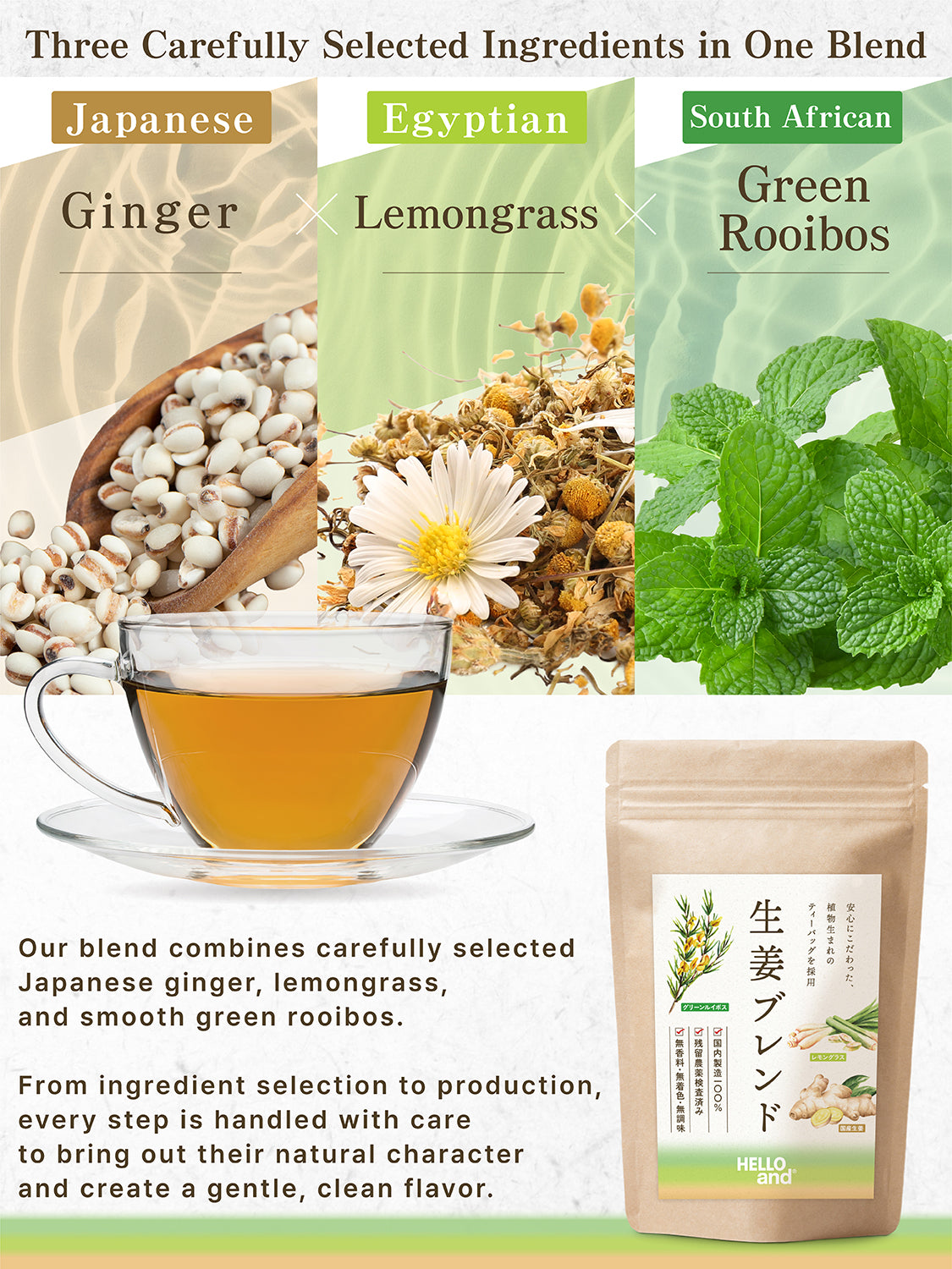 [HELLO and] Ginger Blend: Japanese Ginger, Lemongrass & Green Rooibos (Caffeine-Free, 30 Bags)