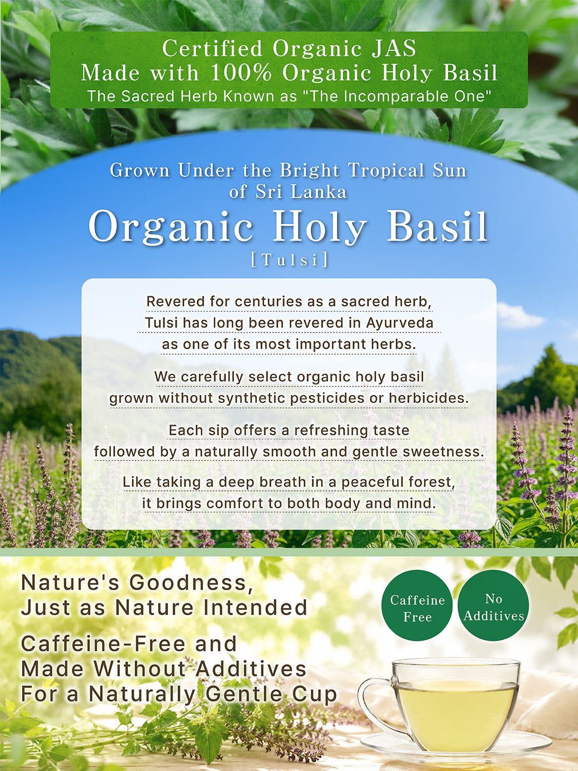 [HELLO and] Organic Holy Basil Tea: 100% Sri Lankan Single-Origin (JAS Certified, Caffeine-Free, 30 Bags)